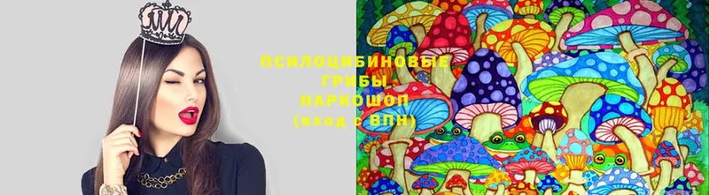 Псилоцибиновые грибы Magic Shrooms Саранск